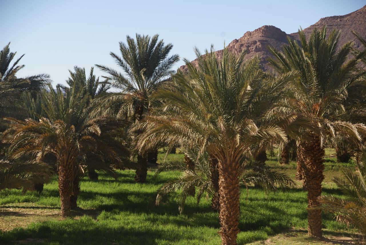 Riad Les Jardins De Tafraoute Foum Mharech Экстерьер фото